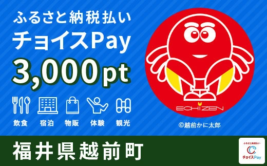 越前町 3000pt