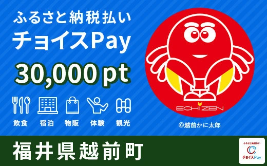 越前町 30000pt