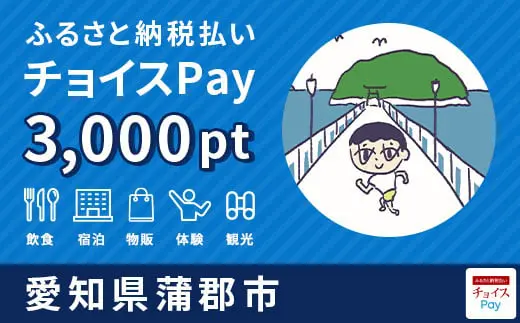 愛知県蒲郡市 3,000pt