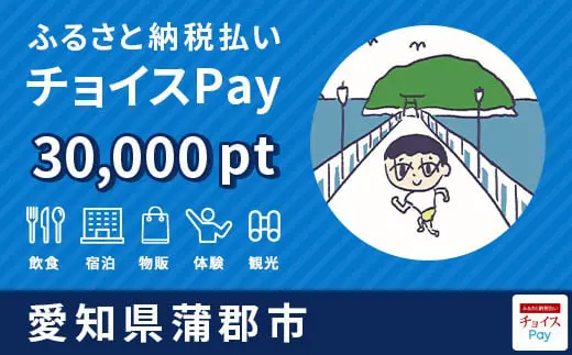 愛知県蒲郡市 30,000pt
