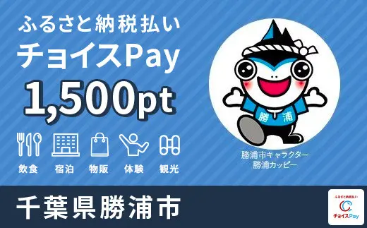 勝浦市 1500pt