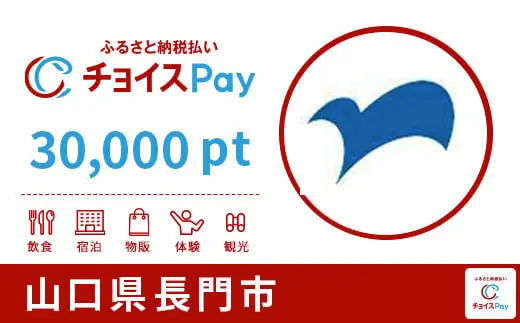 山口県長門市 30000pt