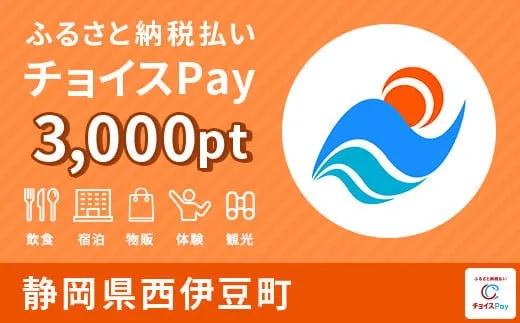 西伊豆町 3000pt