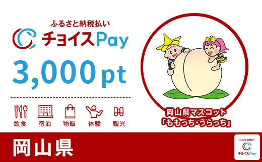 岡山県 3000pt
