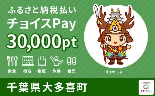 千葉県大多喜町 30000pt