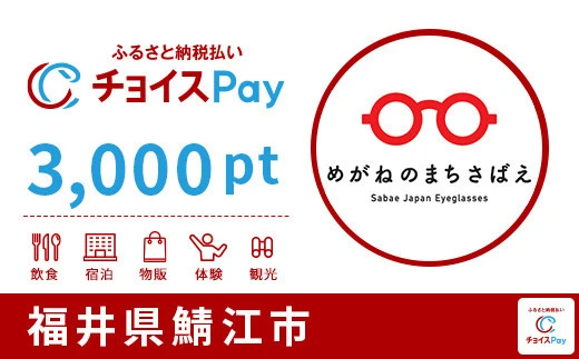 福井県鯖江市 3000pt