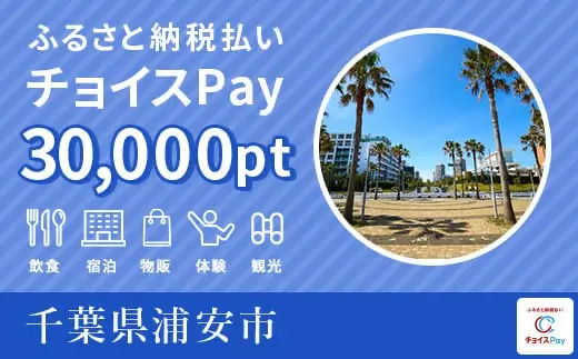 千葉県浦安市 30000pt