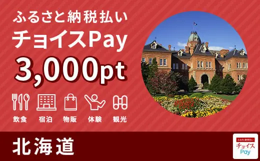 北海道 3,000pt