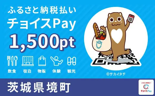 茨城県境町 1500pt