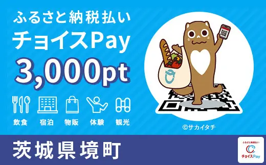 茨城県境町 3000pt
