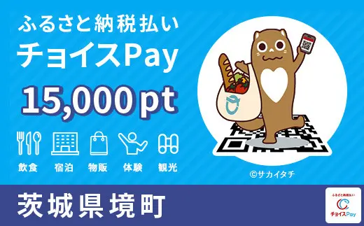 茨城県境町 15000pt