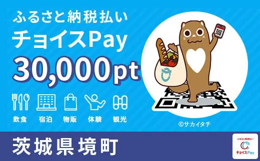 茨城県境町 30000pt