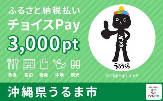 沖縄県うるま市 3000pt