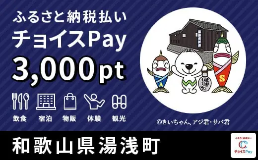 和歌山県湯浅町 3000pt