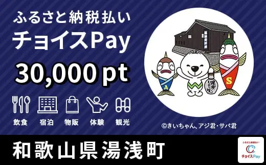 和歌山県湯浅町 30000pt