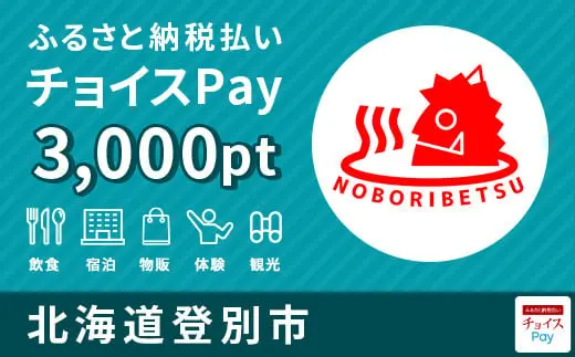 北海道登別市 3,000pt