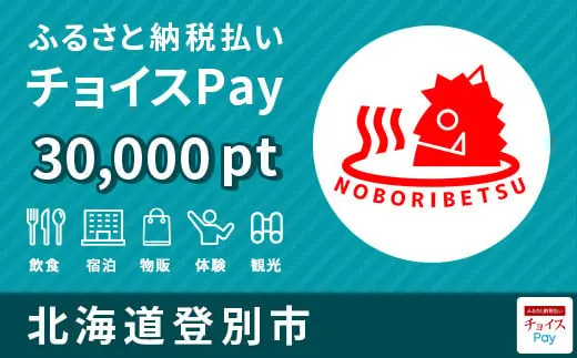 北海道登別市 30,000pt