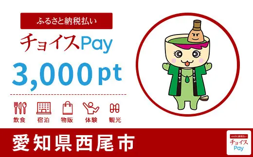 熊本県 3000pt