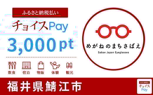 福井県鯖江市 3000pt