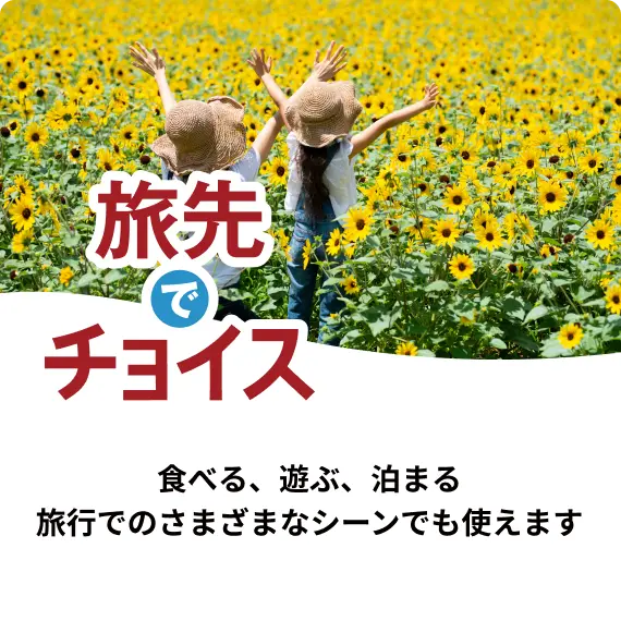 旅先でチョイス 食べる、遊ぶ、泊まる、旅行でのさまざまなシーンにも使えます