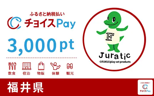 福井県 3,000pt