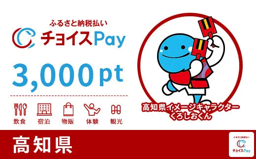 高知県 3000pt