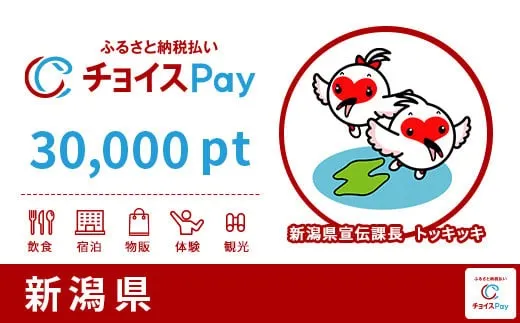 新潟県 30000pt