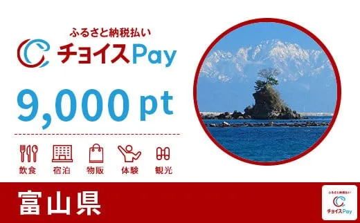 富山県 9000pt